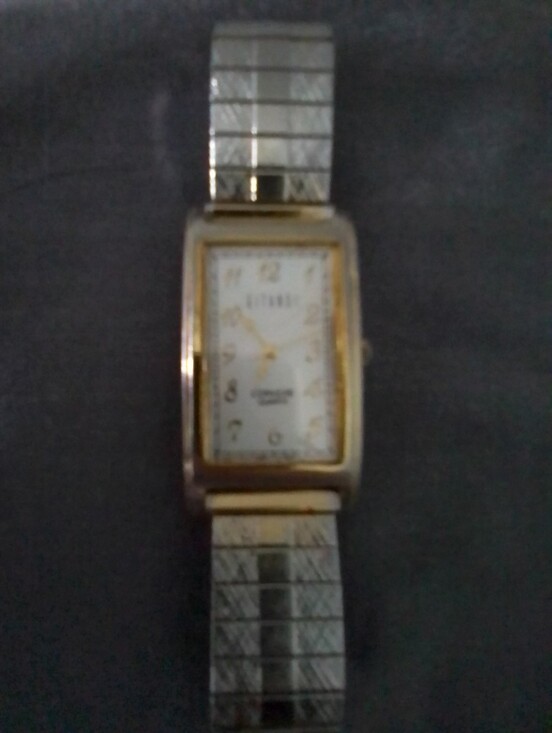 Gitano Accessories - Vintage Gitano Convexe Quartz Japan Movt Gold and Silver Tone W A Speidel Band
